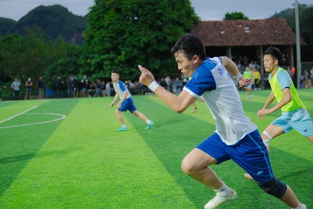 数据分析的 数据分析的