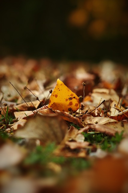 展现了高度 展现了高度