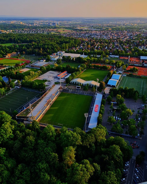 自己的实力 自己的实力