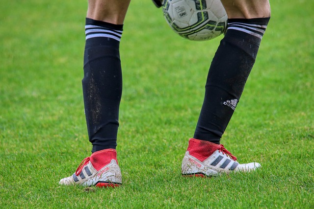 保障机制提 保障机制提