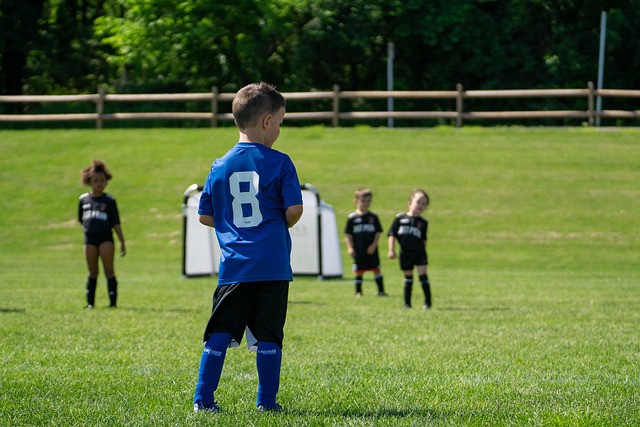 中的微妙心 中的微妙心