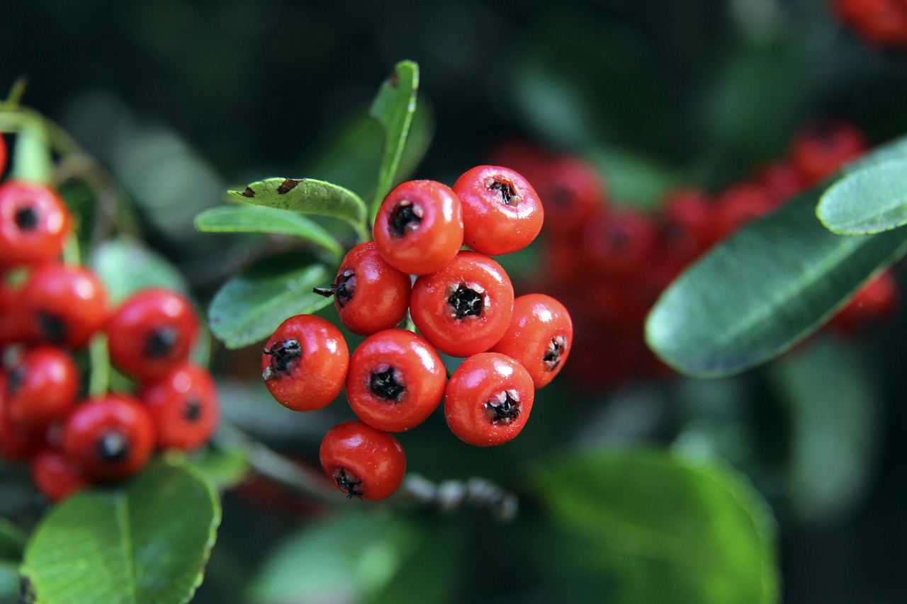 不断完善为 不断完善为