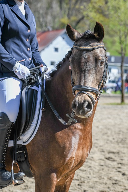 球隊來說 球隊來說