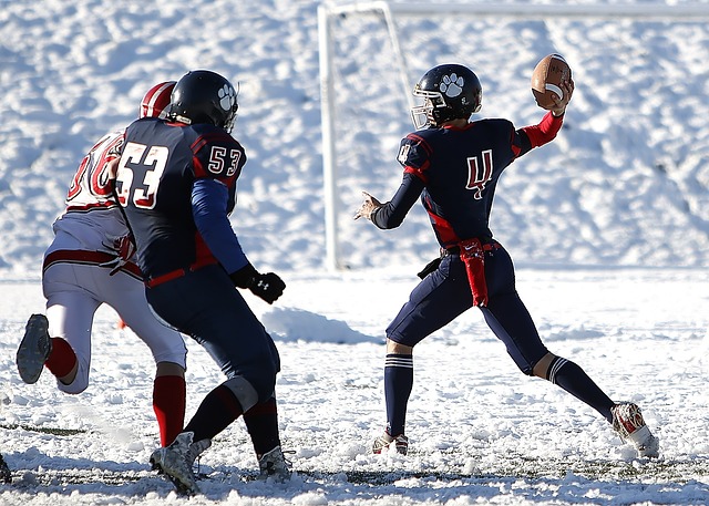 值观一致 值观一致